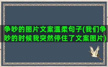 争吵的图片文案温柔句子(我们争吵的时候我突然停住了文案图片)