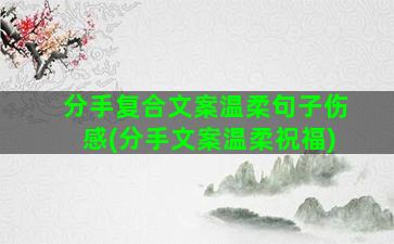 分手复合文案温柔句子伤感(分手文案温柔祝福)