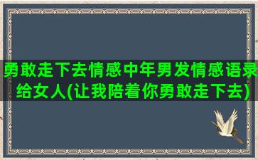 勇敢走下去情感中年男发情感语录给女人(让我陪着你勇敢走下去)