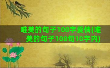 唯美的句子100字爱情(唯美的句子100句10字内)