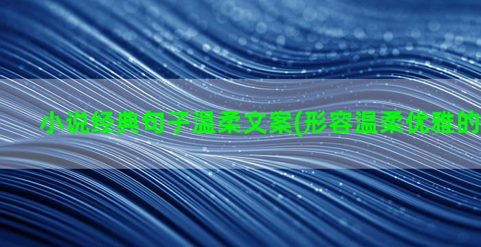 小说经典句子温柔文案(形容温柔优雅的经典句子)