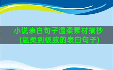 小说表白句子温柔素材摘抄(温柔到极致的表白句子)