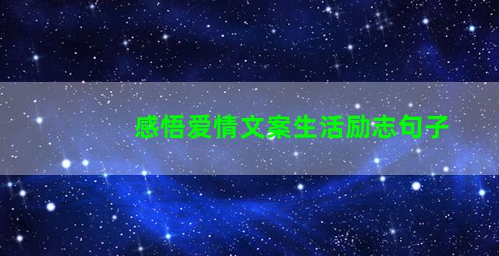 感悟爱情文案生活励志句子