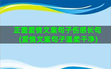 正面爱情文案句子伤感长句(爱情文案句子温柔干净)