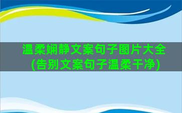 温柔娴静文案句子图片大全(告别文案句子温柔干净)