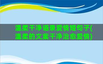 温柔干净语录爱情短句子(温柔的文案干净治愈爱情)