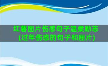 红薯图片伤感句子温柔励志(过年伤感的句子和图片)