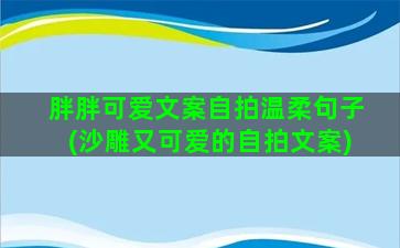 胖胖可爱文案自拍温柔句子(沙雕又可爱的自拍文案)